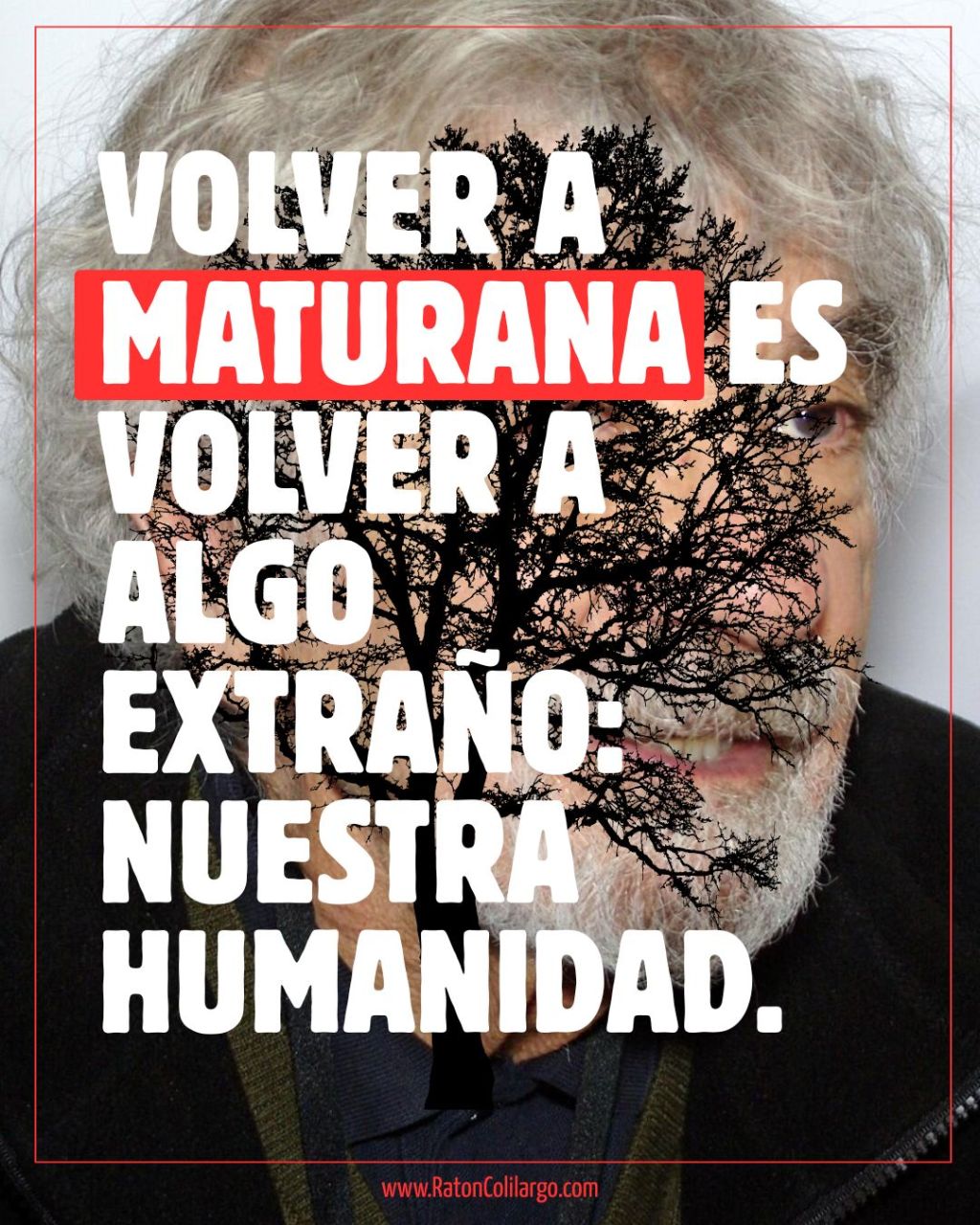 Maturana sigue preguntando
